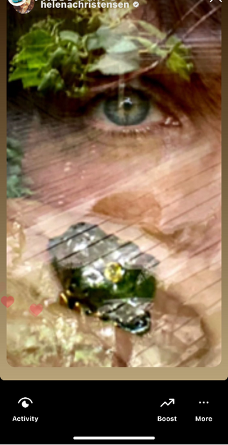 Close-up of a person's eye with a decorative headband featuring green leaves and a small decorative item.